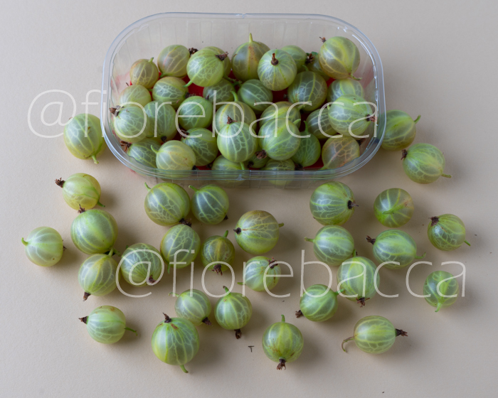 UVASPINA VERDE 125GR