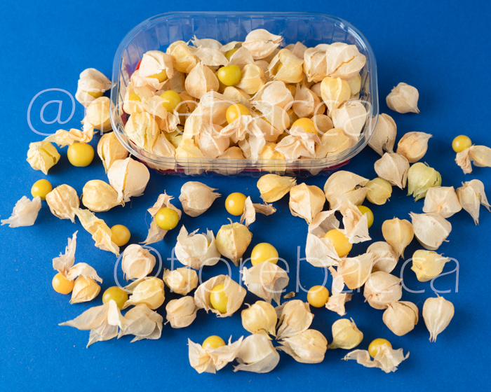 ALCHECHENGI JEWEL 40GR