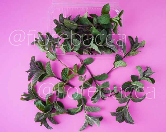 MENTA CIOCCOLATO 15GR