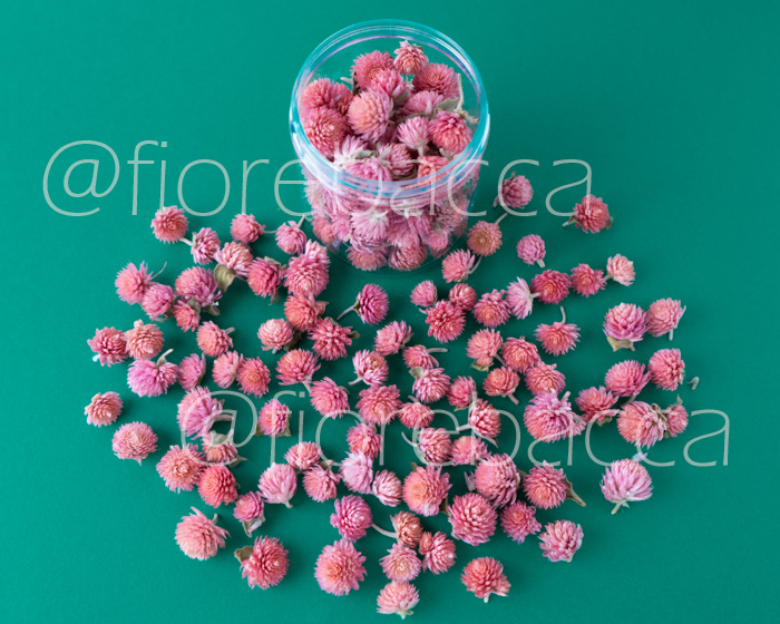 FIORE BOTTONE ROSA 250ML