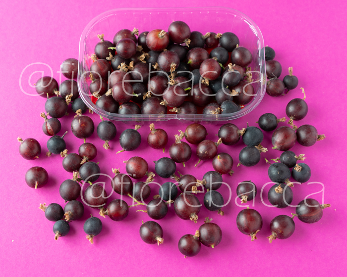 UVASPINA BRUNA 125GR