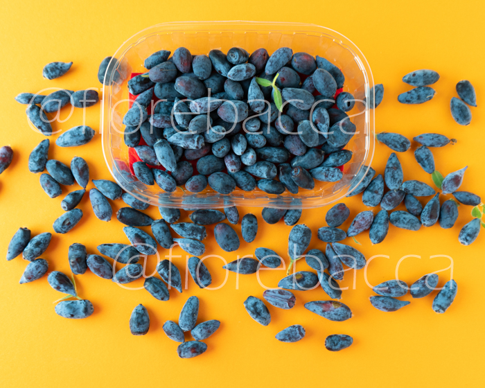 MIRTILLO DI MAGGIO 70GR