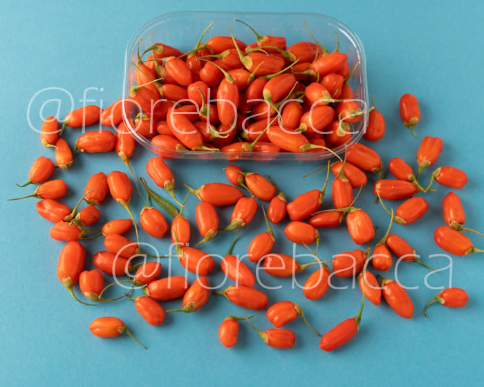 GOJI FIOREBACCA 80GR