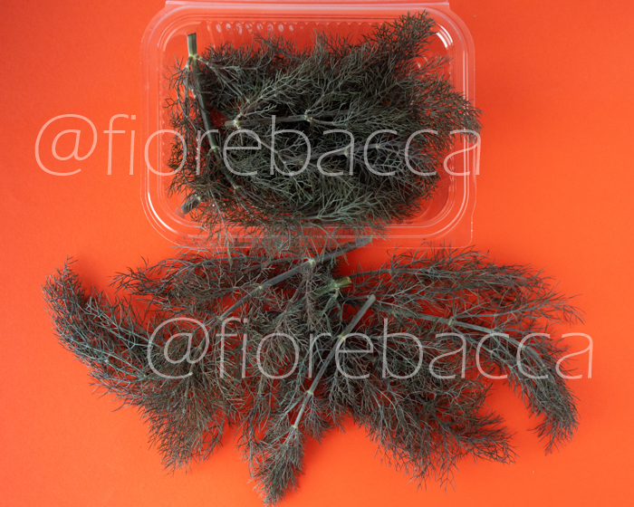 FINOCCHIO BRONZO 20GR