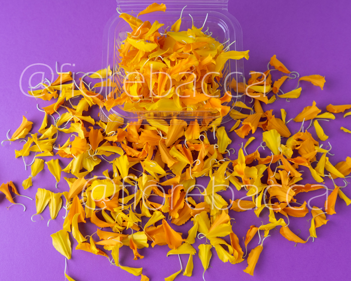 PETALI MISTICANZA 250ML