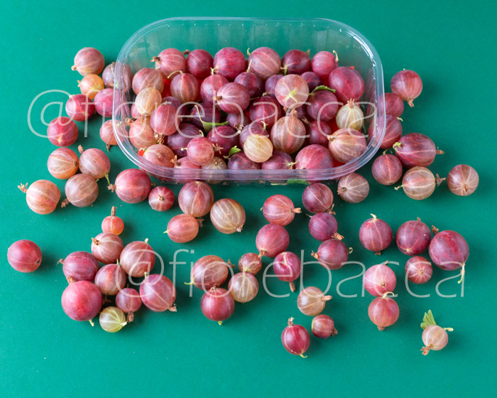 UVASPINA ROSSA 125GR