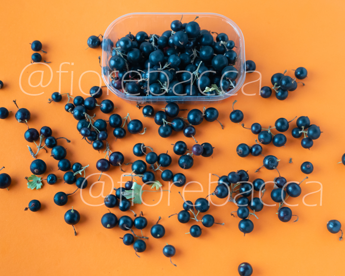 RIBES NERO 125GR