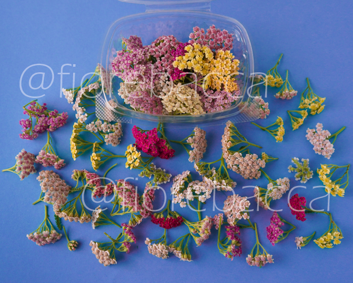 ACHILLEA PASTELLO MIX