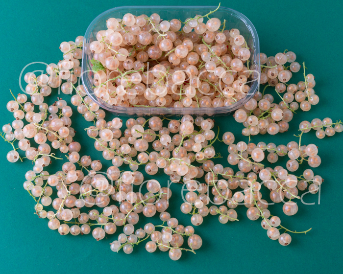 RIBES BIANCO 125GR