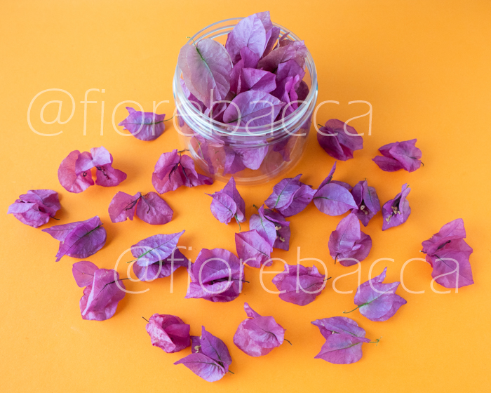 FIORE DI VENERE FUCSIA 500ML