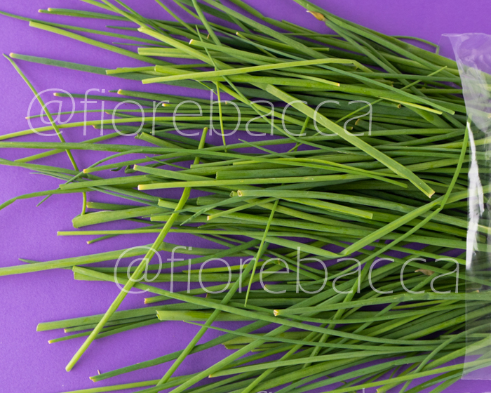 ERBA CIPOLLINA 40GR BUSTA