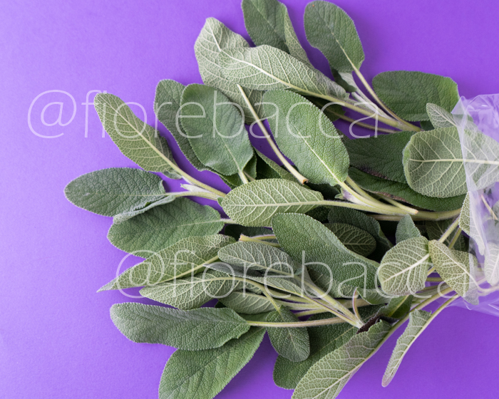 SALVIA COMUNE 40GR BUSTA