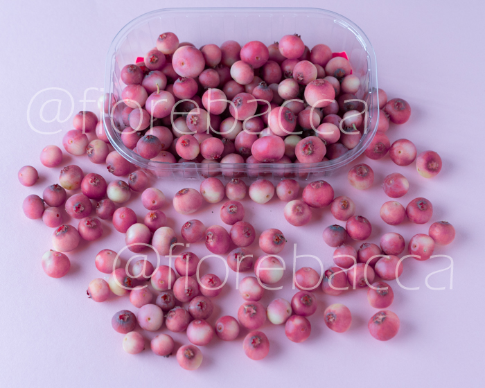 MIRTILLO ROSA FIOREBACCA 100GR