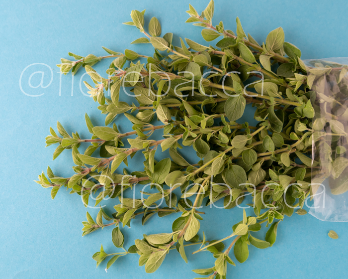 ORIGANO COMUNE 40GR BUSTA