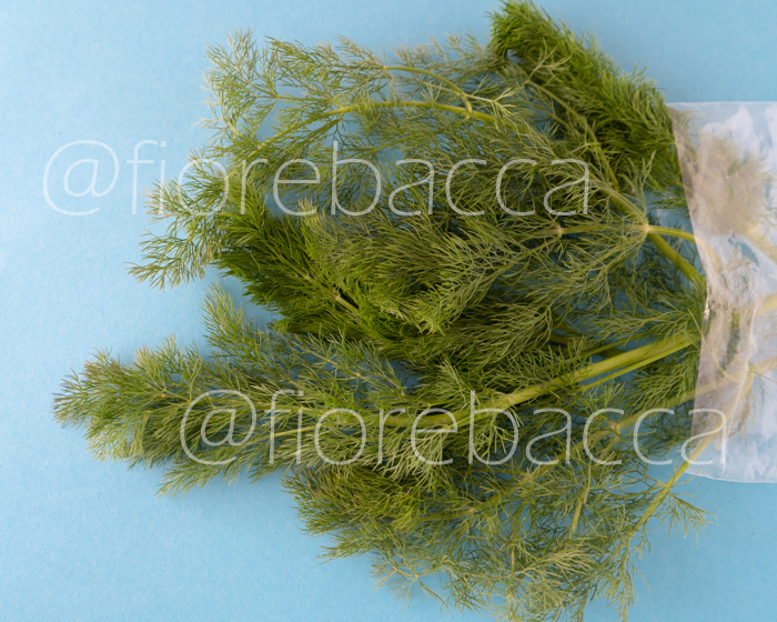 FINOCCHIO SELVATICO 40GR BUSTA