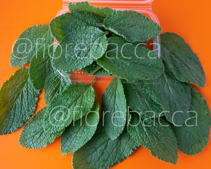 BORRAGINE FOGLIE 40GR