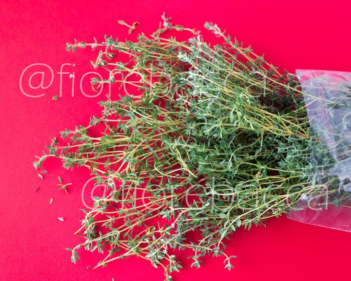 TIMO COMUNE 40GR BUSTA