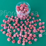 FIORE BOTTONE ROSA 250ML