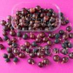 UVASPINA BRUNA 125GR