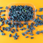 MIRTILLO DI MAGGIO 70GR