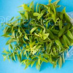 ERBA LUISA 40GR BUSTA