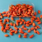 GOJI FIOREBACCA 80GR