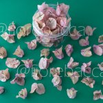 FIORE DI VENERE ROSA DORATA PICCOLA 500ML