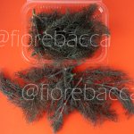 FINOCCHIO BRONZO 20GR