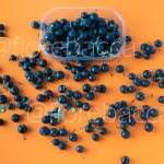 RIBES NERO 125GR
