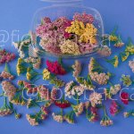 ACHILLEA PASTELLO MIX