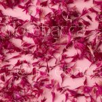 PETALI MINI CRESTATI BORDEAUX 20ML BUSTINA