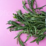 DRAGONCELLO 40GR BUSTA