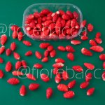 FRAGOLA DI BOSCO 50GR
